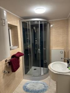 a bathroom with a shower and a sink at Kuscheliges Einfamilienhaus in Lingenfeld