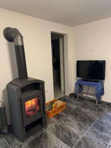 a living room with a fireplace and a tv at Kuscheliges Einfamilienhaus in Lingenfeld