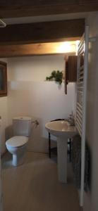 y baño con aseo y lavamanos. en Alojamiento compartido CanTroncxic en Sant Pere de Torelló