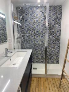 uma casa de banho com um lavatório e um chuveiro em Le 828 : appartement en plein centre de Vannes em Vannes