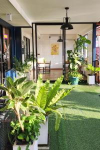 Zahrada ubytování Pinpoint Hotel Phuket