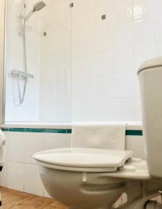 a bathroom with a white toilet and a shower at Gorgeous Studio 15 Minutes from Central London in London