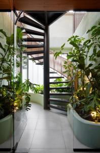 a hallway with plants in pots in a building at Wellcomm Spa & Hotel in Medellín