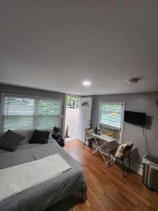 a bedroom with a bed and a television and a desk at Cozy studio in a lovely area in Forest Hills