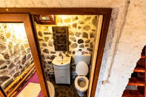 Koupelna v ubytování Catunu’ lui Emil