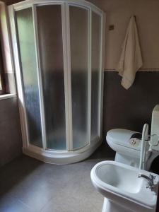 a bathroom with a shower and a toilet and a sink at Casa Nelito in Pedrógão Grande