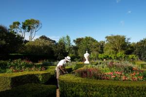 Un uomo che pota siepi in un giardino di Steenberg Hotel & Spa a Tokai