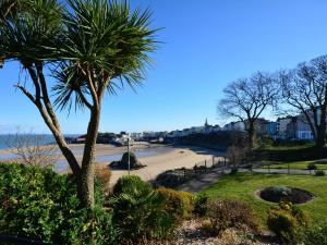 a view of a beach with a palm tree at 2 bed in Llansteffan 74268 in Ferryside