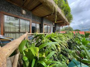 a building with a bunch of plants in front of it at #16 Stylish Rustic Studio & Outdoor JACUZZI in Fortuna