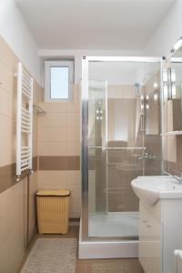 a bathroom with a shower and a sink at Apartament David in Călimăneşti