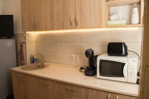 a kitchen counter with a microwave and a sink at Apartament David in Călimăneşti