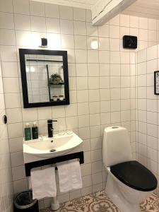 La salle de bains est pourvue de toilettes et d'un lavabo. dans l'établissement Wisteria Österlen, à Simrishamn