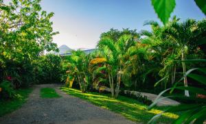 a dirt road lined with palm trees in a park at Arenal Descanso in Fortuna