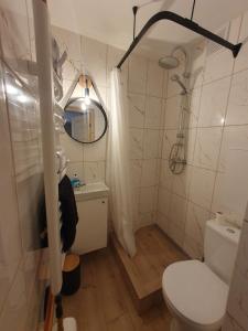 ein Bad mit einem WC, einem Waschbecken und einer Dusche in der Unterkunft Cēsu mājas Raiņa ielā in Cēsis