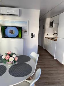 Eldhús eða eldhúskrókur á Hausboot Fjord Claudia Schleswig
