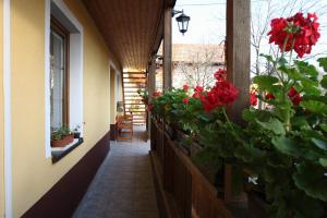 Balkón alebo terasa v ubytovaní Apartmany Kanianka