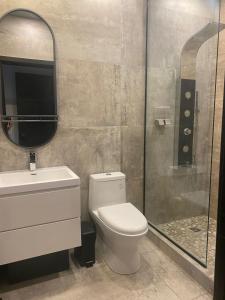 La salle de bains est pourvue d'une douche, de toilettes et d'un lavabo. dans l'établissement Private room & Private bathroom in le Plateau, à Montréal