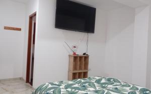 TV a/nebo společenská místnost v ubytování Doña Amalia