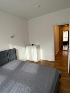 1 dormitorio con 1 cama grande en una habitación en Slenio Apartamentai, en Kaunas