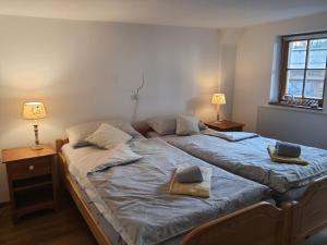sypialnia z 2 łóżkami i ręcznikami w obiekcie FeWo Sonne w Konstancji