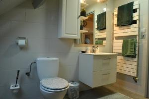 uma casa de banho com um WC e um lavatório em DUPLEX SPACIEUX TOUT CONFORT em Mulhouse