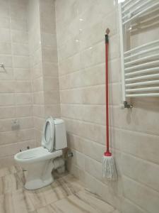a bathroom with a toilet with a broom in it at New Saburtalo Star in Tbilisi City