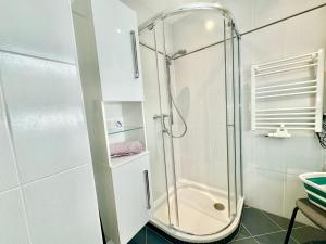La salle de bains est pourvue d'une douche avec une porte en verre. dans l'établissement 60 m2 Premium Apartment near Airport - Free Parking, à Schwechat