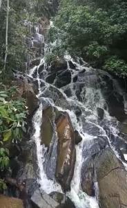 um riacho no meio de uma montanha com árvores em Rancho do Pijuca em Ortigueira