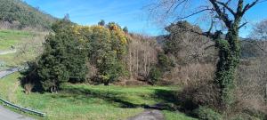 Gallery image of La CASUCA ENTRE TINAS in Pesués