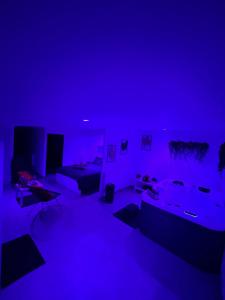ein Wohnzimmer mit einem Sofa und einem blauen Zimmer in der Unterkunft Royal’Quality in Boussy-Saint-Antoine