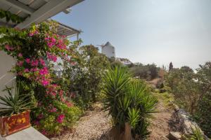 una casa con fiori rosa su un lato di Apostolis Windmill a Psarou