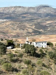 Ein weißes Haus mitten auf einem Feld in der Unterkunft La Zenia in Casabermeja