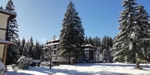 ein Resort im Schnee mit zwei Pinien in der Unterkunft Lovely forest escape, Mountain Lake complex in Smoljan