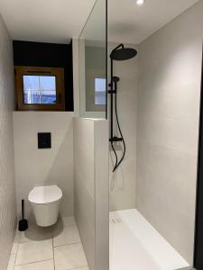 a bathroom with a toilet and a glass shower at La Mansarde in La Chapelle-aux-Bois