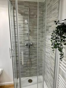 eine Dusche mit Glastür im Bad in der Unterkunft Studio Hyper Centre in Avignon