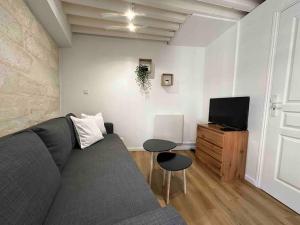ein Wohnzimmer mit einem Sofa und einem TV in der Unterkunft Studio Hyper Centre in Avignon