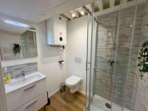 ein Bad mit einer Dusche, einem WC und einem Waschbecken in der Unterkunft Studio Hyper Centre in Avignon