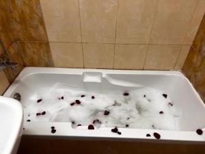 a bath tub filled with ice and blood at Retreat Haven in Al Ain