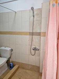 uma casa de banho com chuveiro e WC em Rigas stone tower east Mani 3 em Mína