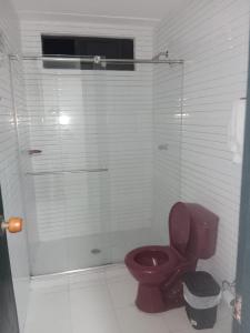 バジェドゥパルにあるPARTAMENTO VALLEDUPARのバスルーム(トイレ、ガラス張りのシャワー付)
