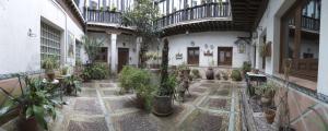 Zahrada ubytování El Patio de Mi Casa