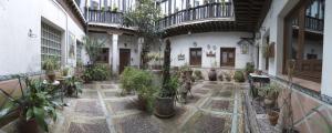 an indoor courtyard with potted plants in a building at El Patio de Mi Casa in Toledo