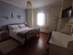 a bedroom with a large bed and a window at Casa das Palmeiras in São Vicente Ferreira