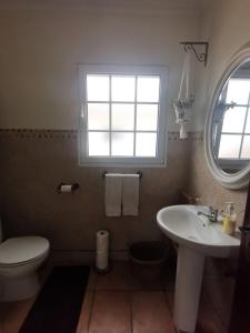 a bathroom with a sink and a toilet and a window at Casa das Palmeiras in São Vicente Ferreira