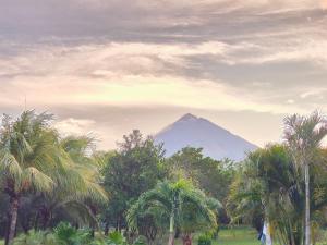 een berg in de verte met bomen en palmbomen bij El Peregrino in Moyogalpa