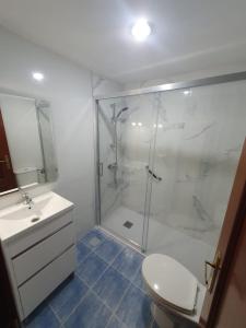 a bathroom with a shower and a toilet and a sink at Piso Alameda Carballiño in Carballino