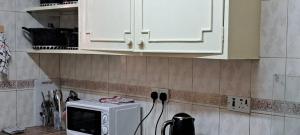 基蘇木的住宿－Tamiasuites Apartment，厨房的柜台上有一个白色微波炉