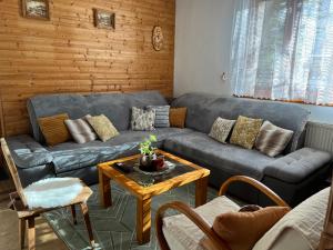 - un salon avec un canapé et une table dans l'établissement Chata Podolina, à Terchová