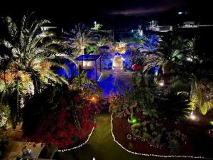 an overhead view of a garden at night with lights at One bedroom property with jacuzzi terrace and wifi at Lagoa in Caloura