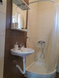 a bathroom with a sink and a shower at Apartman EMANA in Veternik